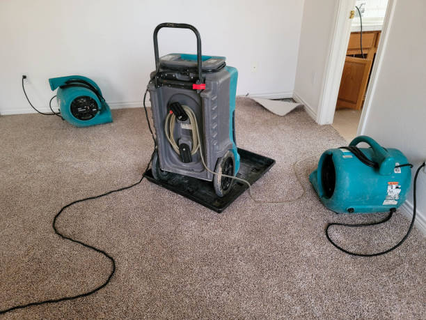 Best Water damage restoration process  in Clemmons, NC