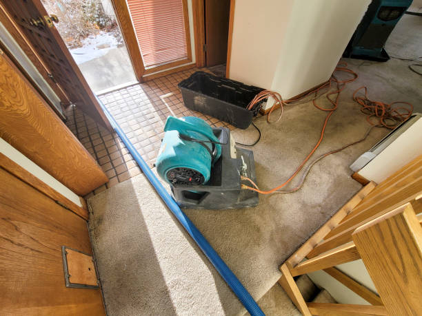 Best Water damage contractors near me  in Clemmons, NC
