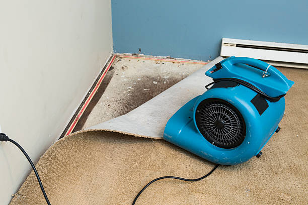Best Carpet water damage restoration  in Clemmons, NC